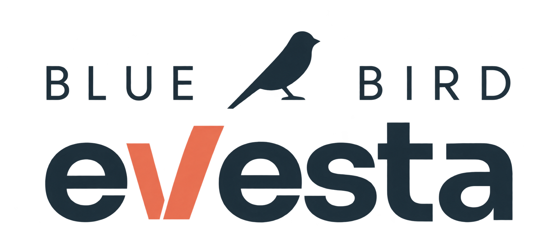 Blue Bird Evesta